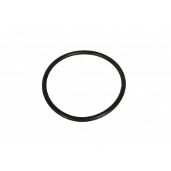 FTR13202/1 - O-Ring für Wasserfilter13202/1